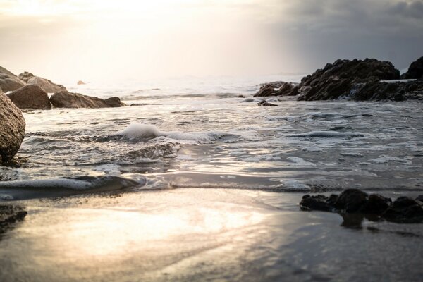 Raging waves of the sea at sunset