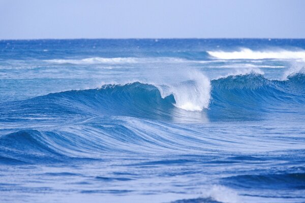 Onde alte dell oceano blu