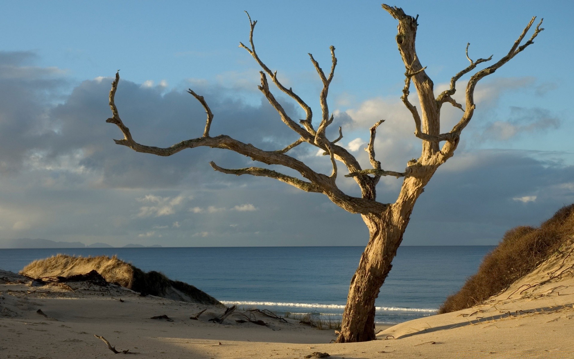 sea and ocean water beach landscape sea seashore ocean sand sky travel nature sunset tree dawn sun outdoors island evening summer fair weather