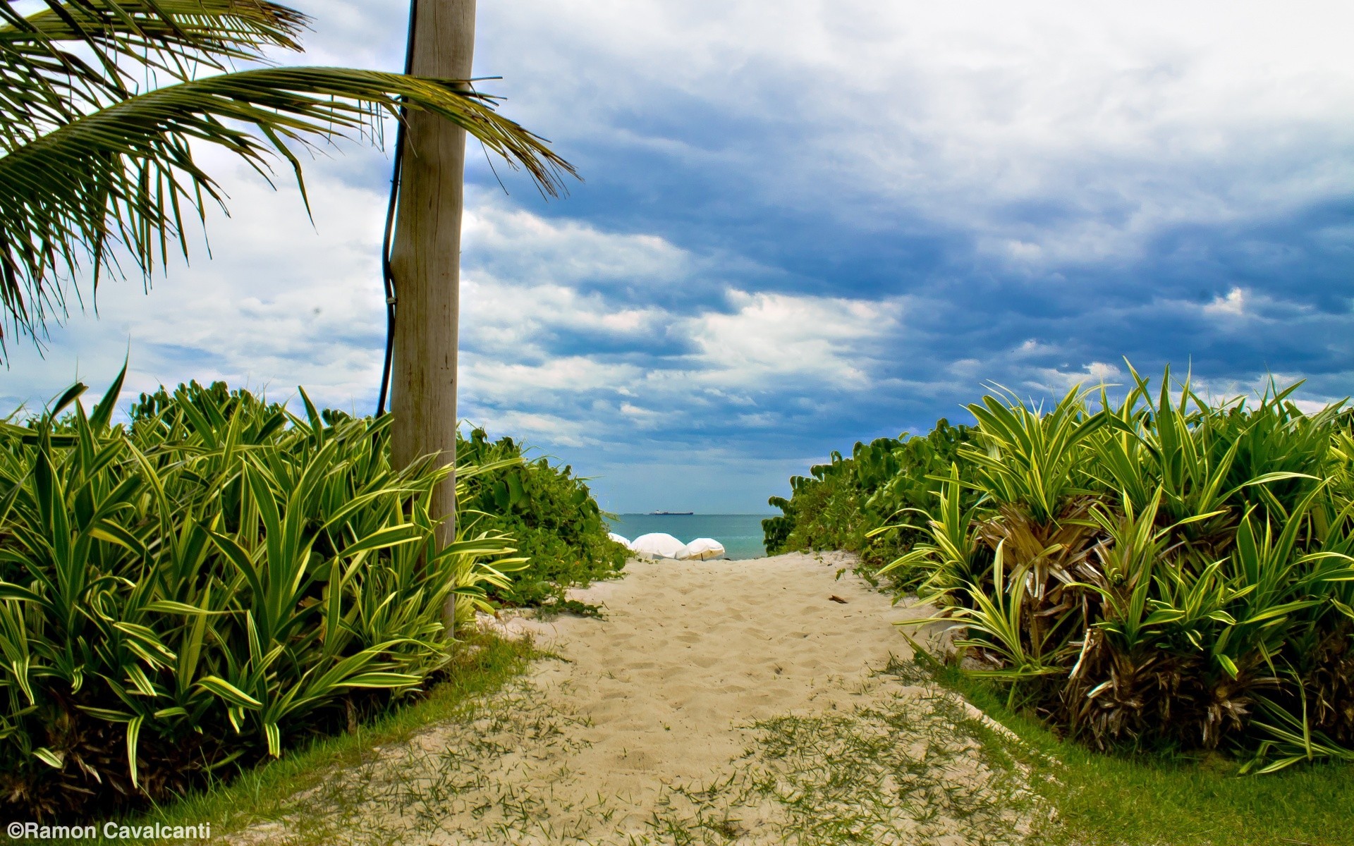 sea and ocean nature tropical sky summer landscape flora tree leaf beach outdoors grass travel wood water palm growth environment