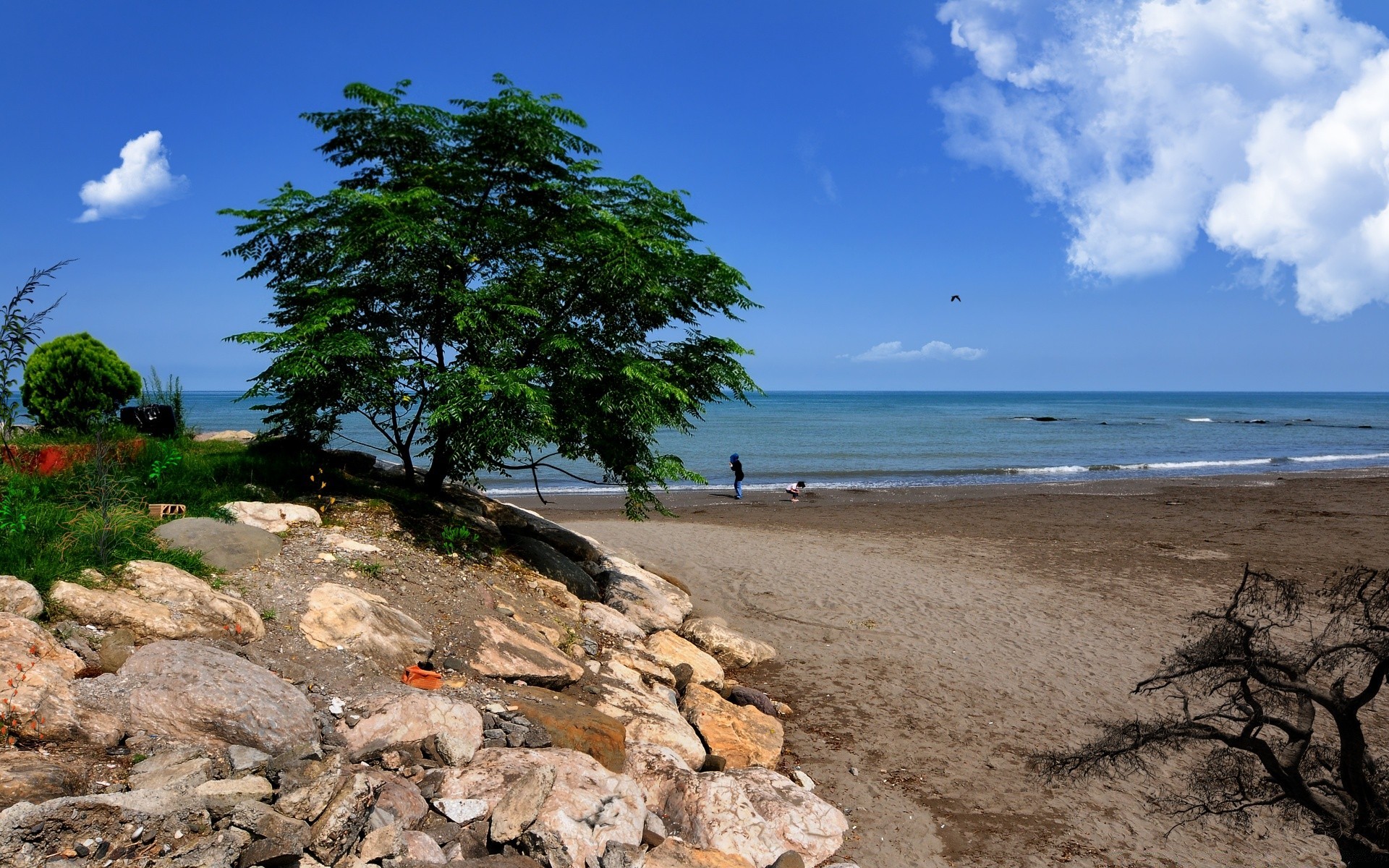 mar y océano playa mar agua mar océano viajes verano paisaje árbol naturaleza cielo arena vacaciones paisaje isla sol escénico buen tiempo tropical