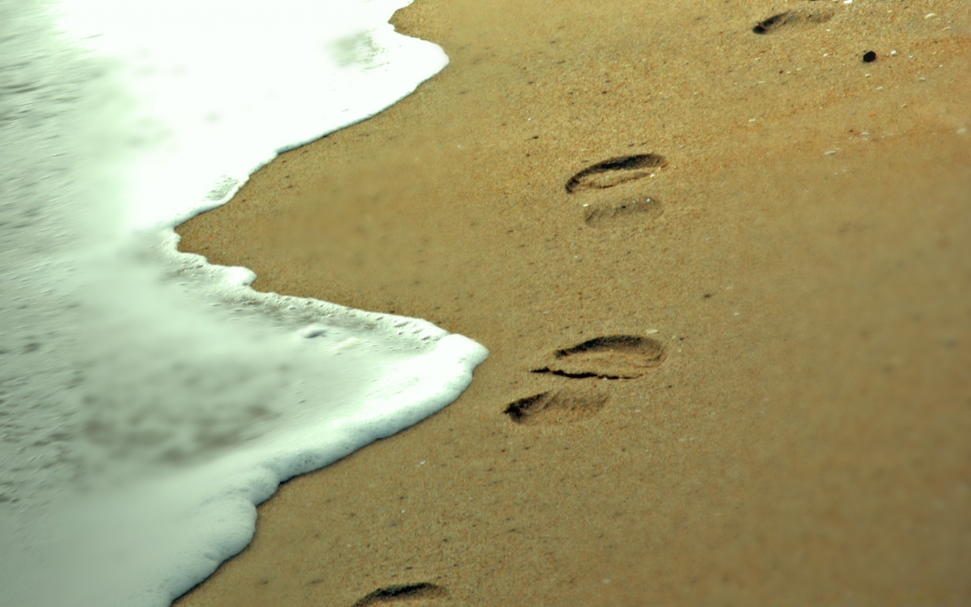 sea and ocean beach sand seashore water footprint ocean surf travel sea shore desert foot vacation island tide seaside footstep fair weather nature