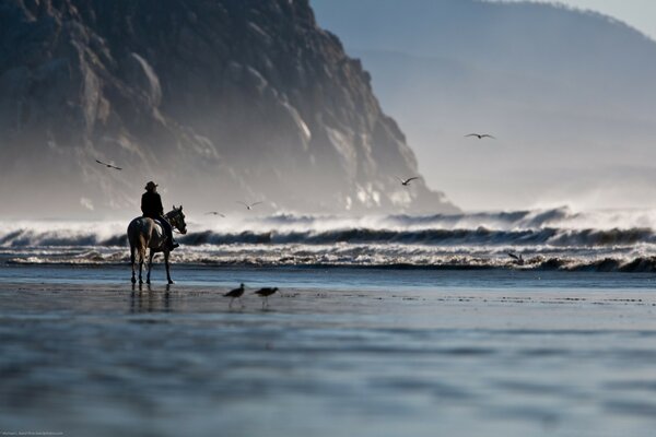 La costa brumosa y el jinete a caballo