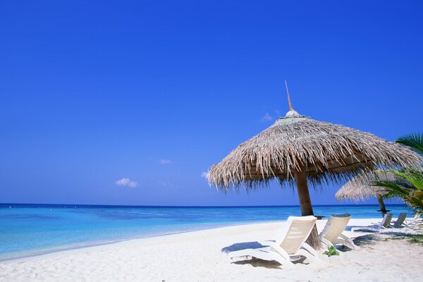 A typical tropical beach by the ocean