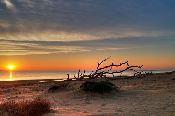 Stunning sunrise on the seashore