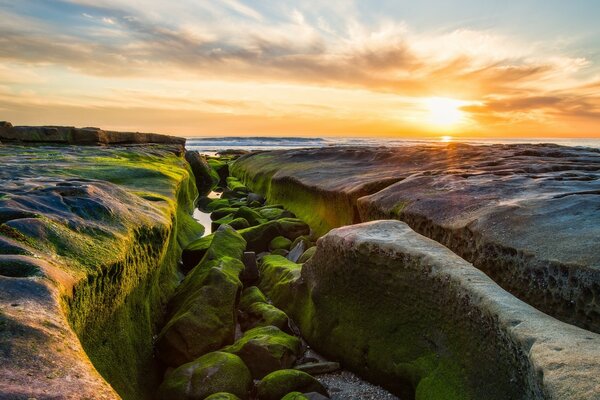 Paysage marin de zzakat