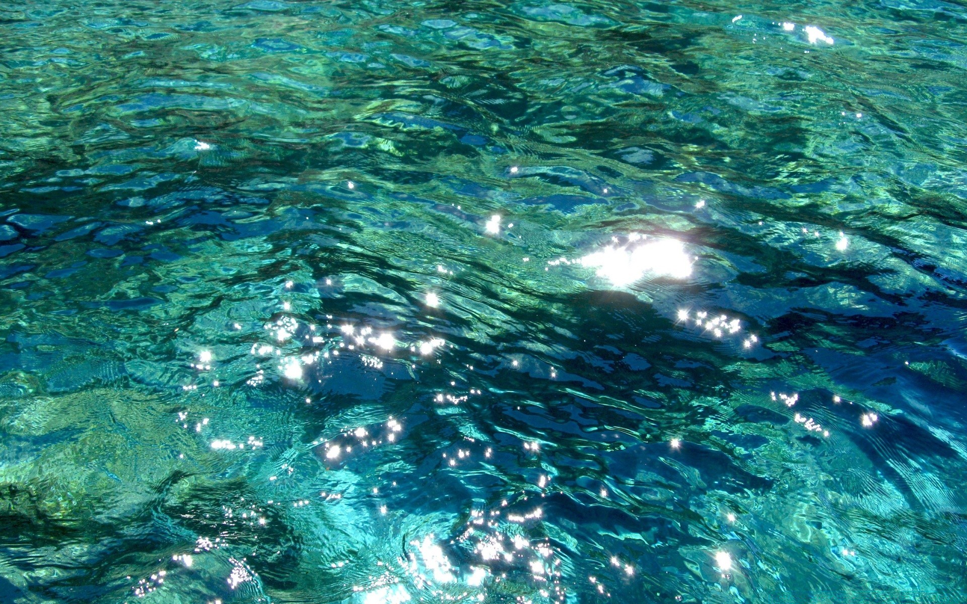 mar y océano agua bajo el agua turquesa mojado mar natación océano naturaleza escritorio ola claro tropical viajes superficie vacaciones limpio splash