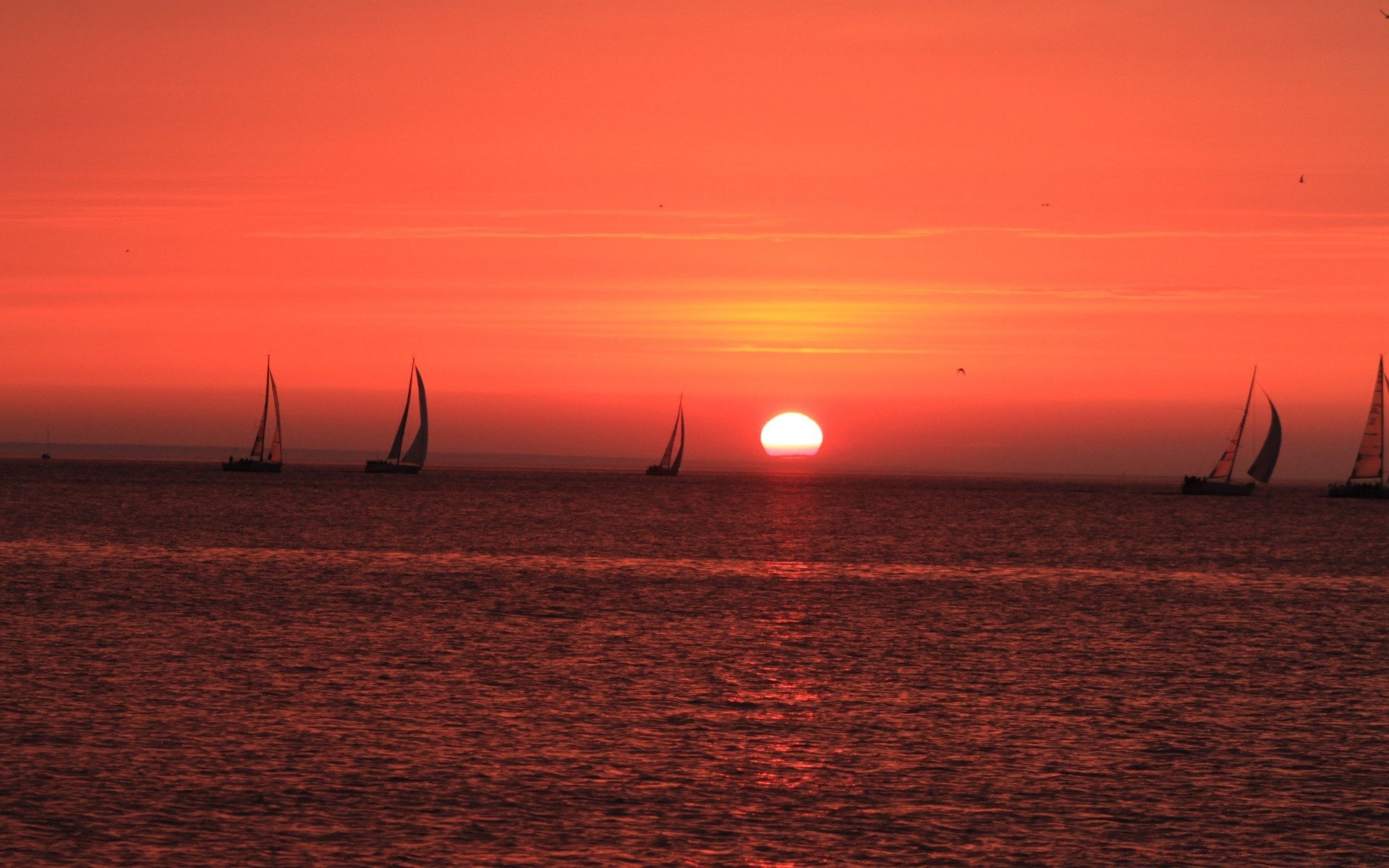 mare e oceano tramonto acqua oceano mare sera crepuscolo spiaggia alba barca a vela paesaggio sole cielo riflessione mare paesaggio natura barca imbarcazione lago