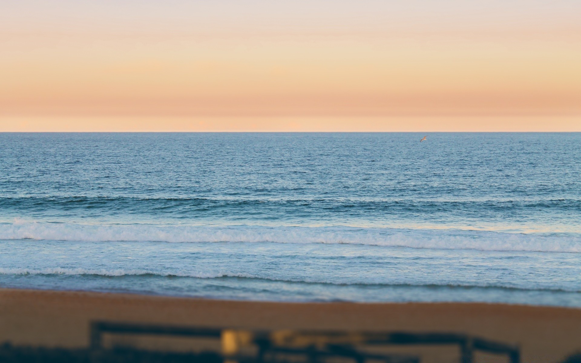 meer und ozean wasser sonnenuntergang im freien dämmerung strand meer reisen dämmerung gutes wetter brandung sonne ozean himmel am abend tageslicht plesid sand meer sommer