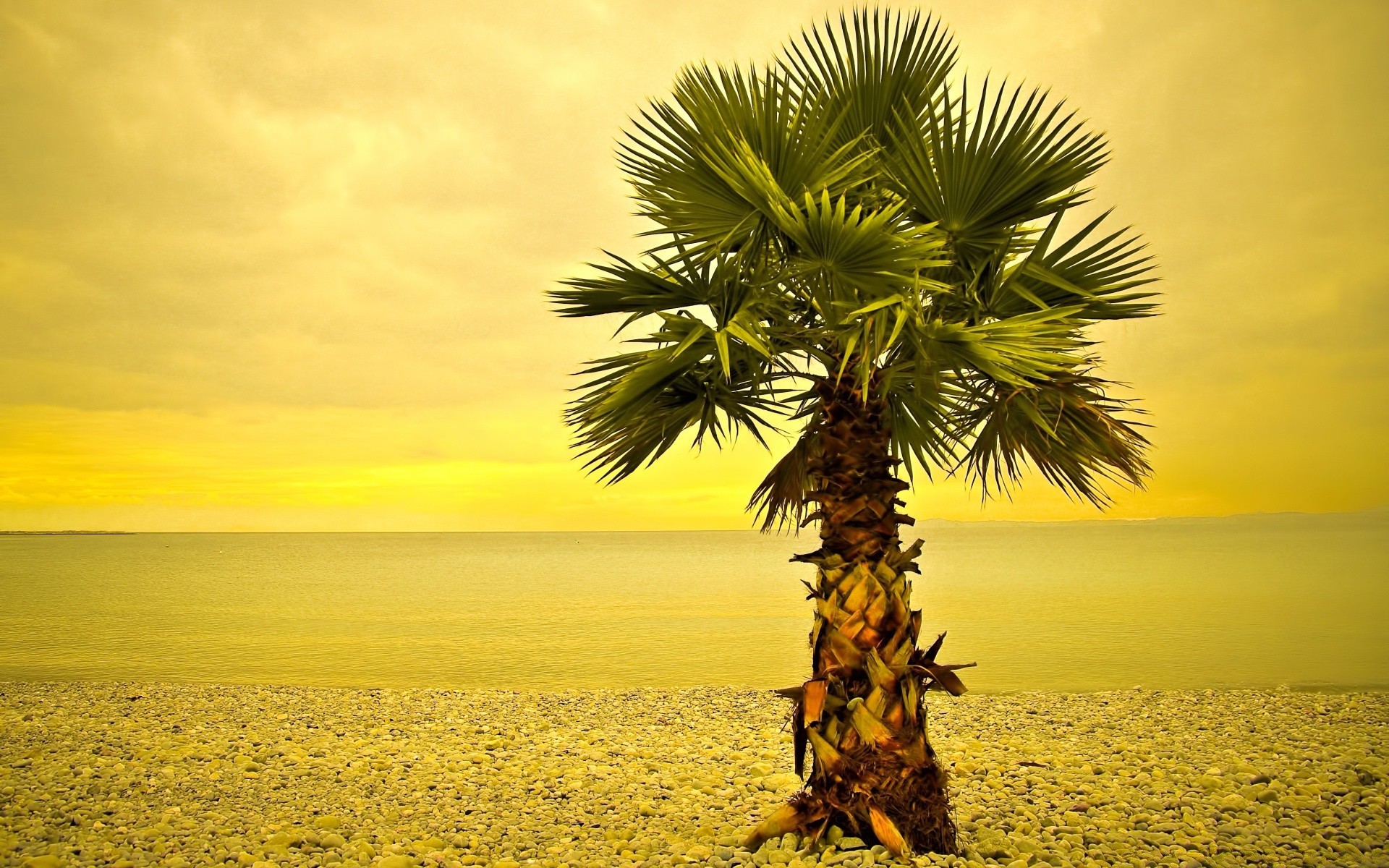 mer et océan plage tropical soleil été sable nature océan coucher de soleil beau temps mer ciel eau arbre mer île exotique idylle voyage palm