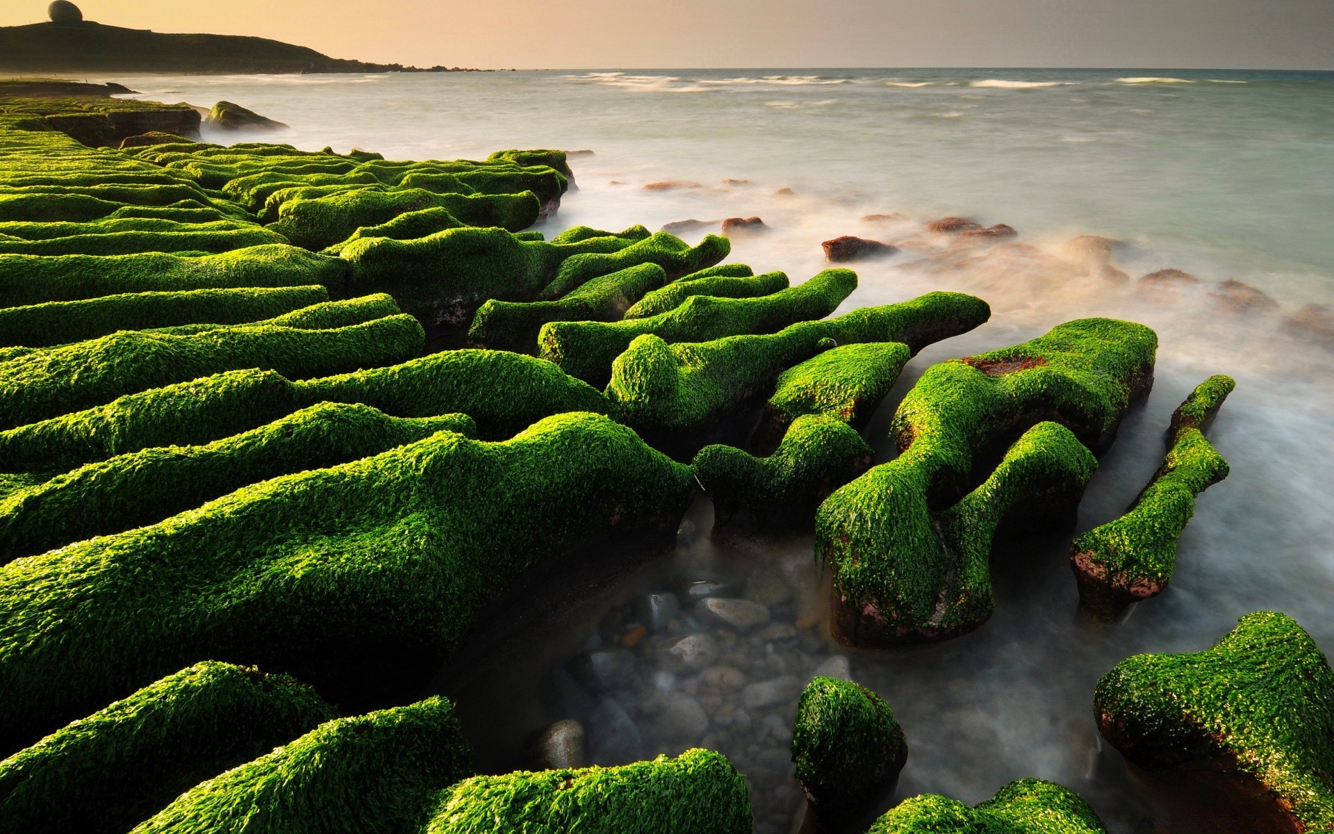 sea and ocean nature beach water sea seashore landscape food