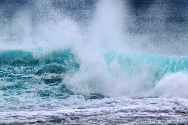 El surf de la belleza de los mares y océanos