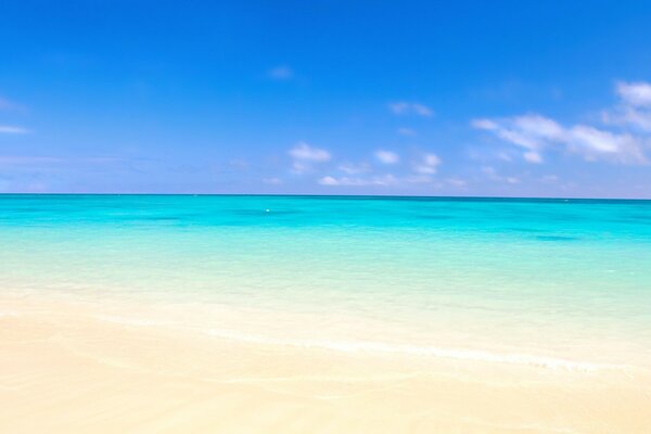 View of the tropical ocean shore