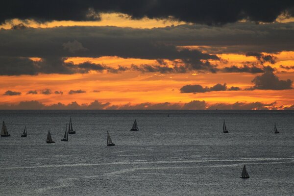 Boats in the ocean on the background of sunset