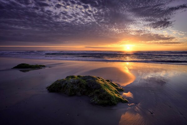 Dawn on the sea beach