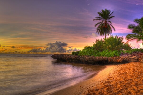 Beau coucher de soleil sur la côte de la mer