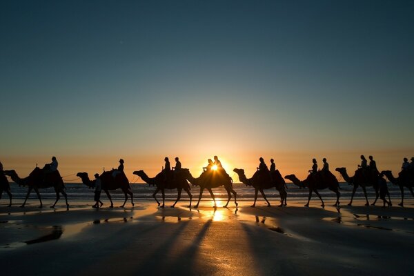 Voyage avec vous dans l Egypte inexplorée