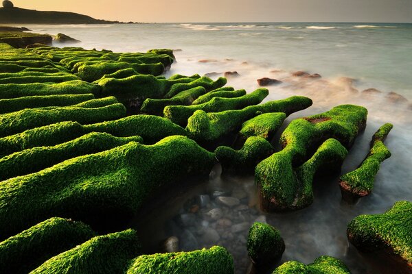 Photo of green stones on the background of sunset