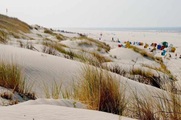 Paysage de villégiature: mer, dunes de sable