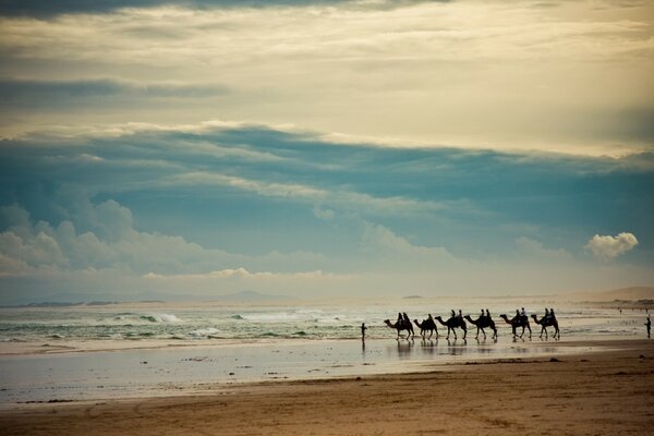 Das Meer. Der Strand. Kamelkarawane