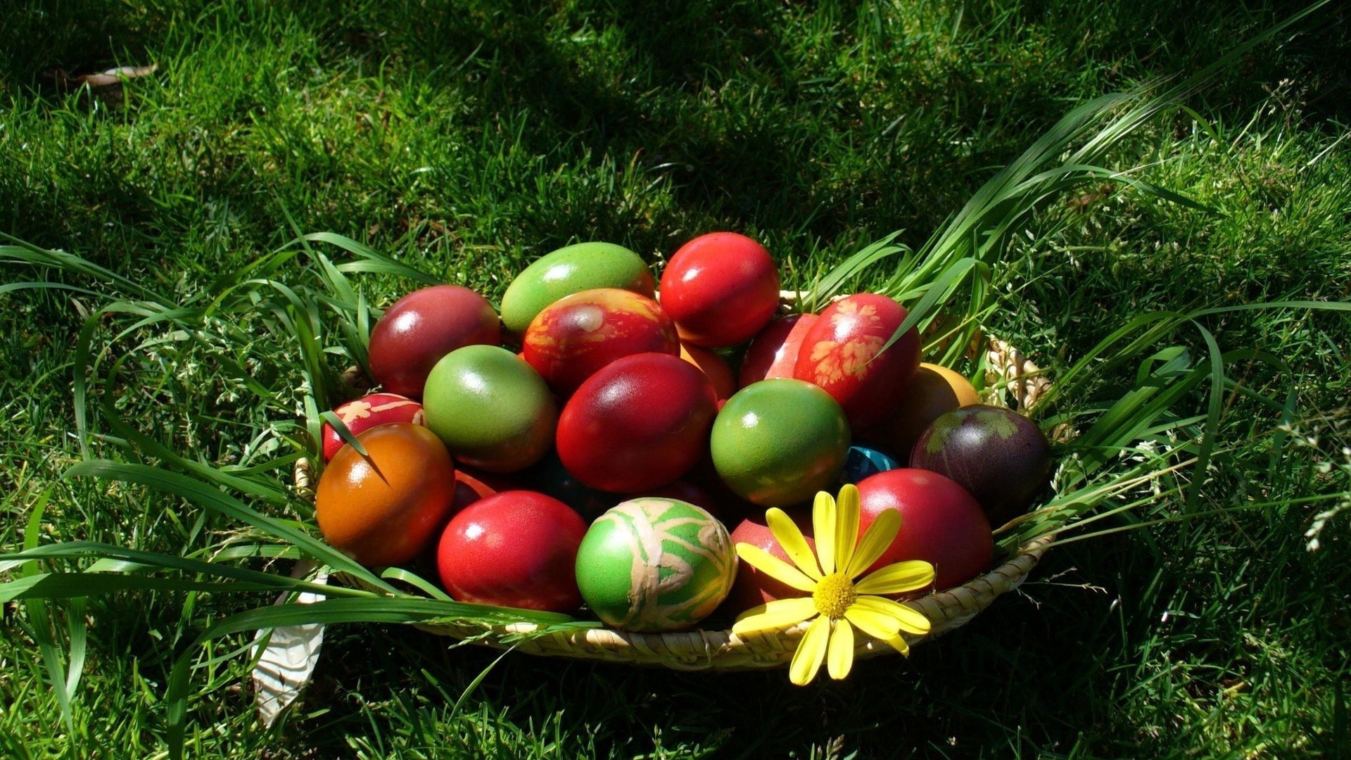 easter food garden nature grass leaf color season fruit