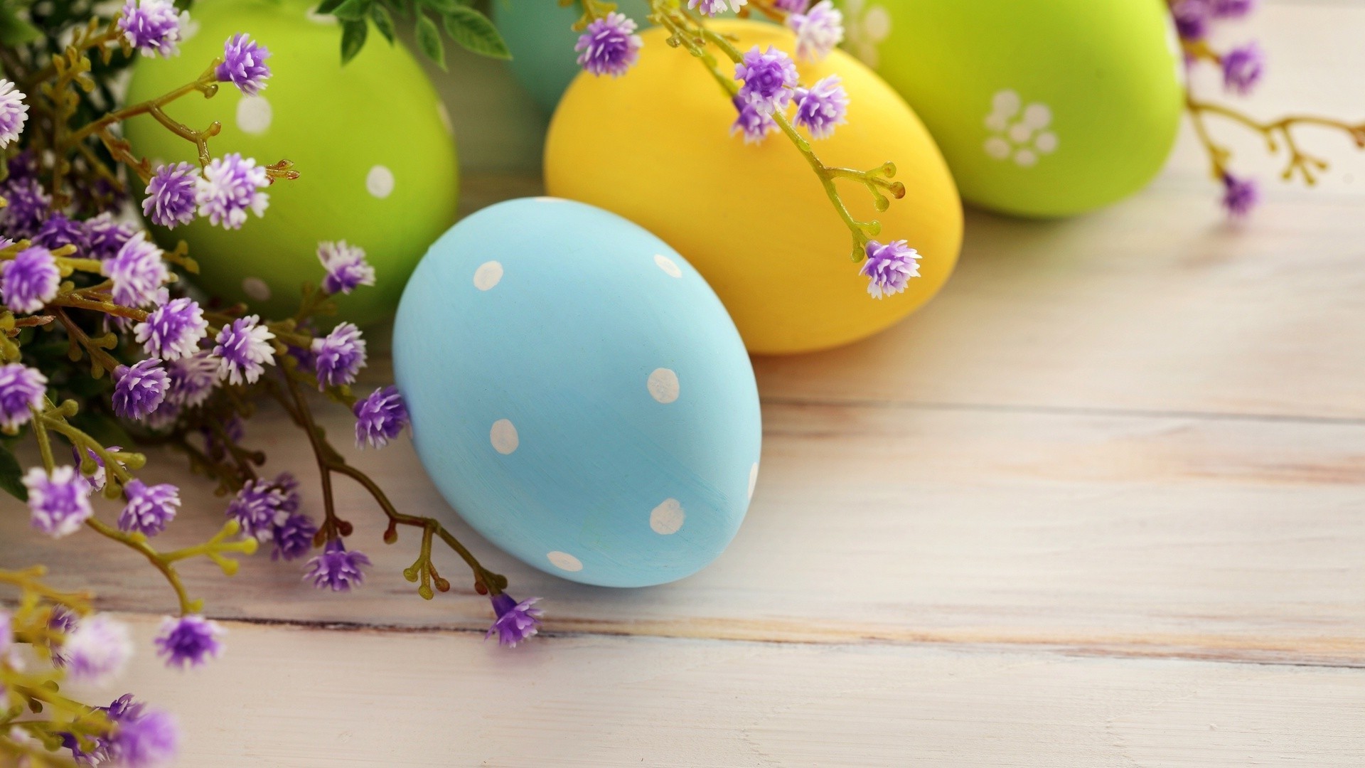 pasqua fiore decorazione colore desktop uovo natura tradizionale festa tavolo luminoso