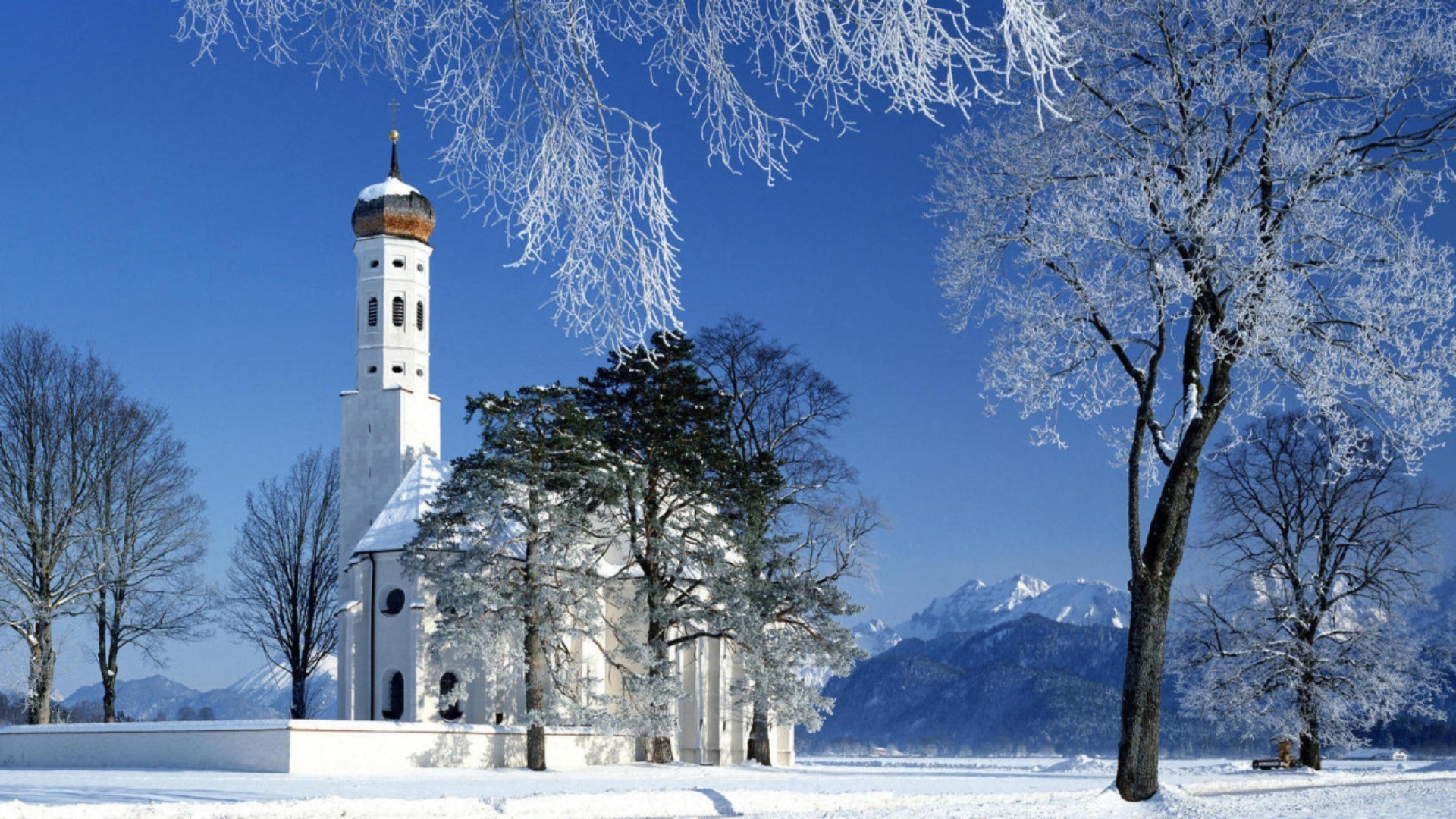 invierno nieve frío escarcha árbol congelado hielo madera temporada paisaje naturaleza escénico blanco como la nieve tiempo al aire libre cielo buen tiempo viajes