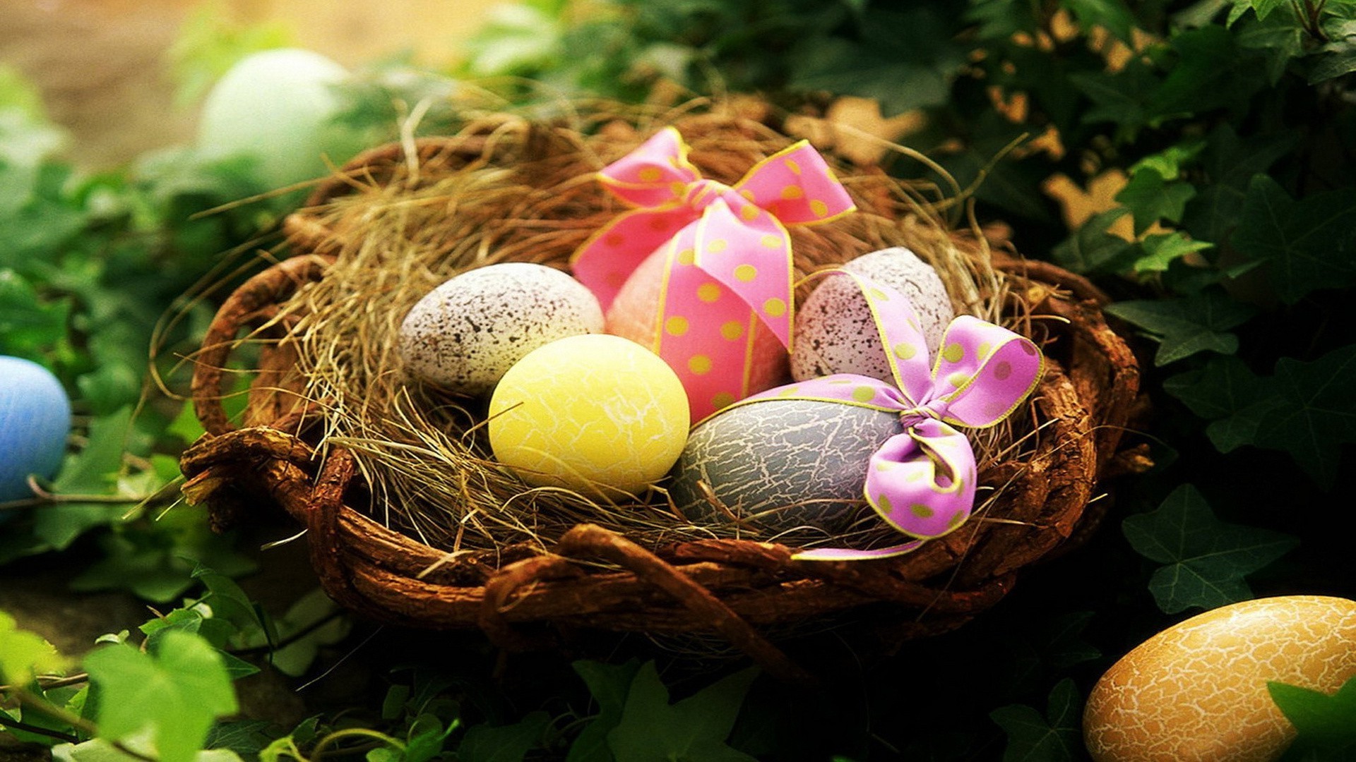 easter egg nest basket traditional nature decoration food celebration desktop color season wood easter egg