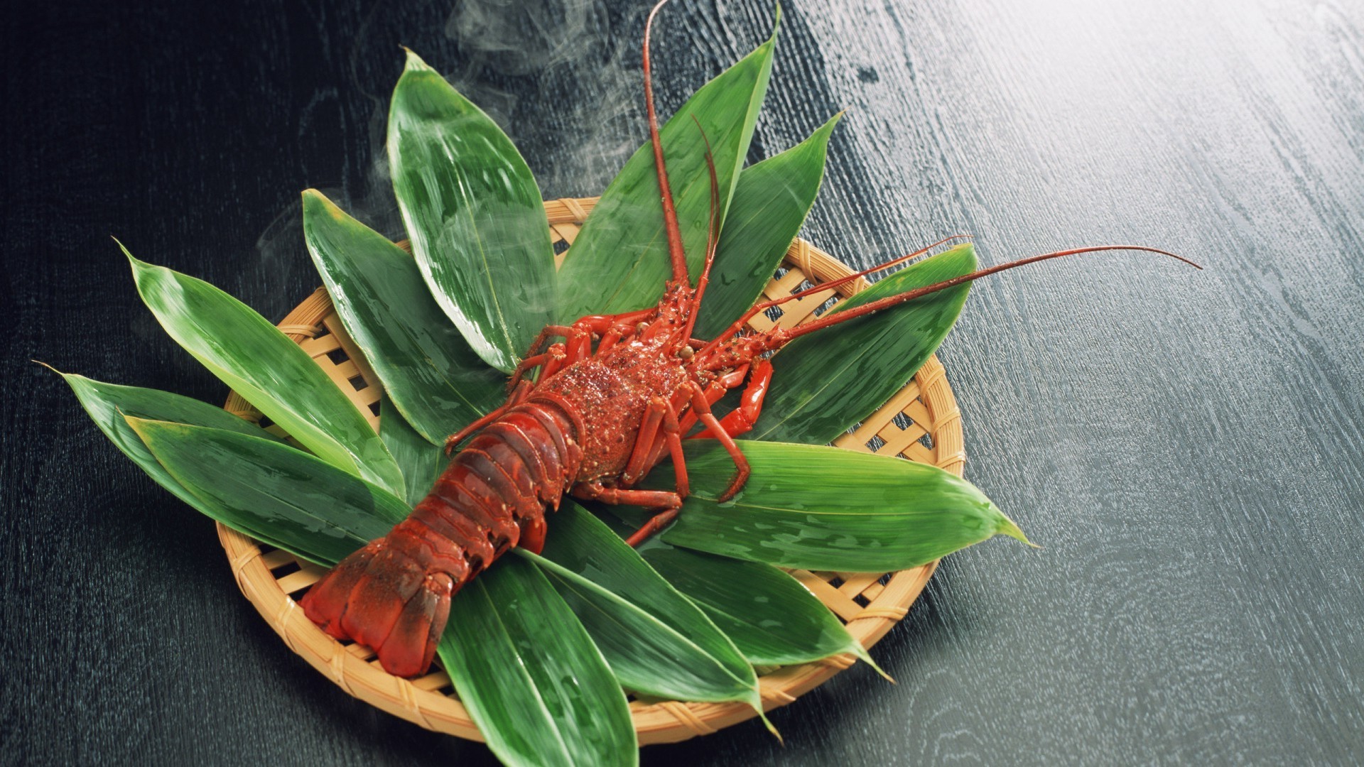 alimentos e bebidas folha natureza invertebrados flora comida