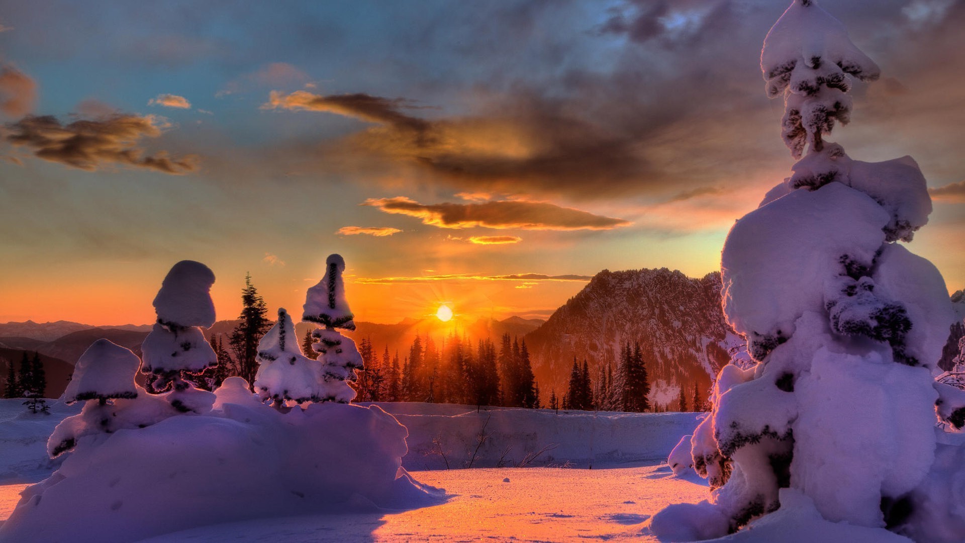 winter snow cold ice outdoors christmas sunset travel tree frozen sky frost dawn