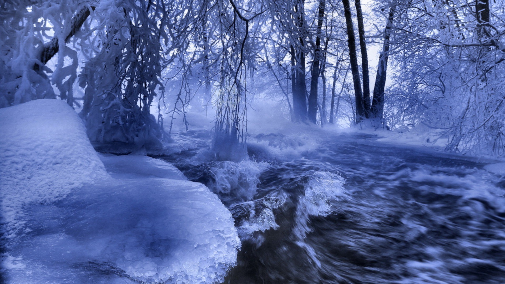 rivers ponds and streams snow winter cold ice landscape nature frozen tree wood water frost outdoors scenic river season park weather environment fair weather