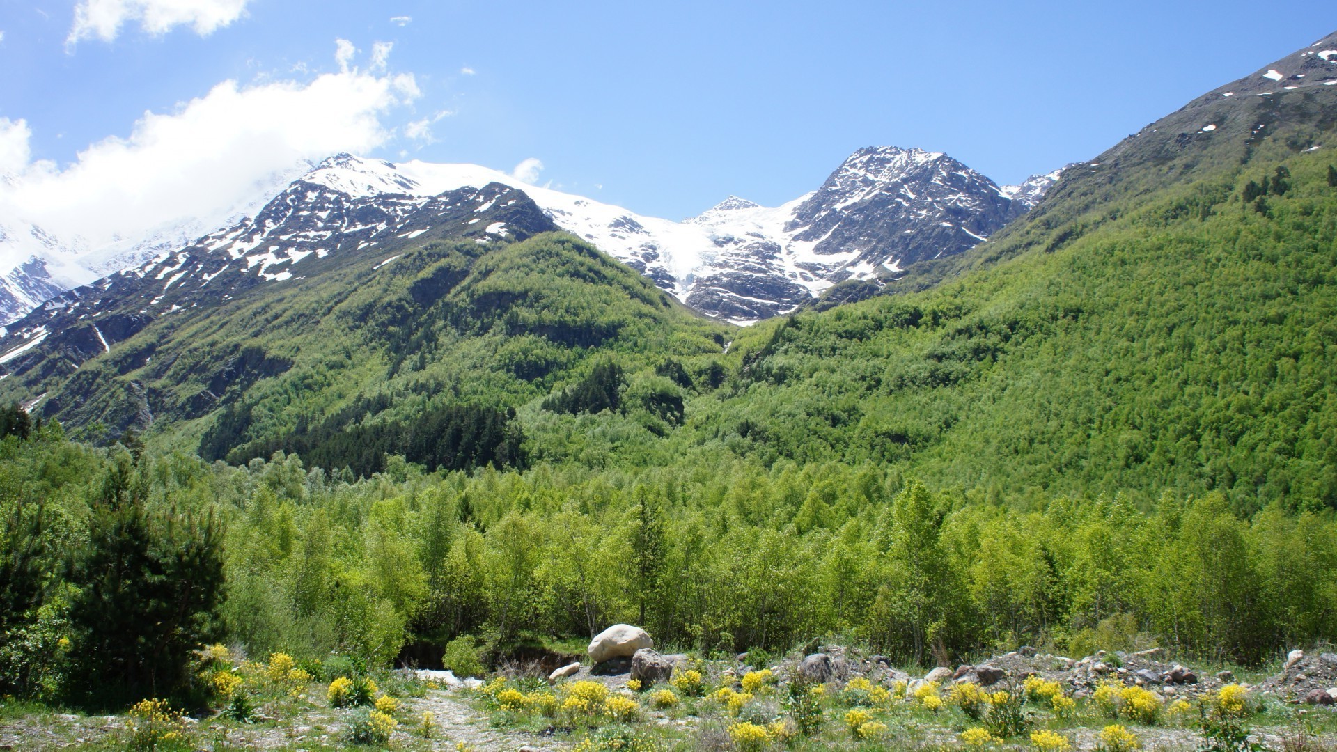 berge berge landschaft natur landschaftlich reisen tal im freien holz himmel hügel spektakel berggipfel sommer landschaft baum schnee heuhaufen gras szene