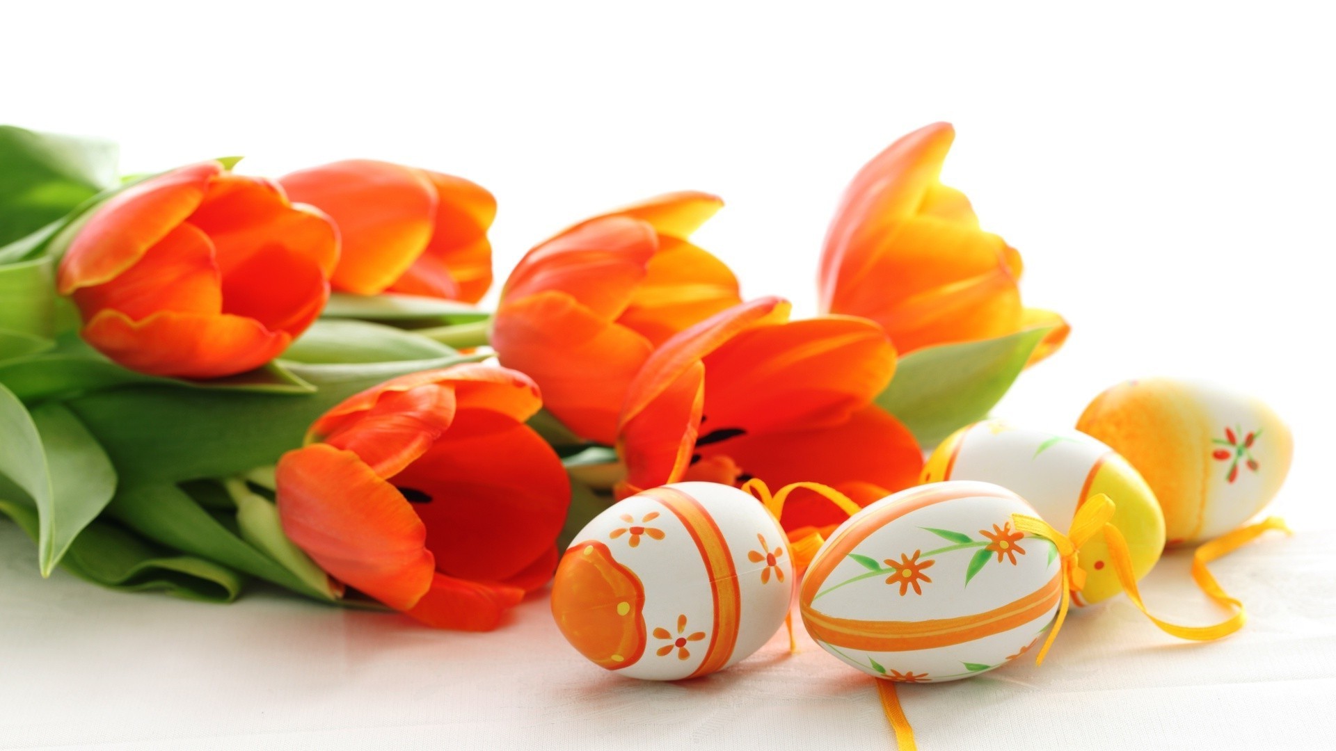 pasqua fiore foglia tulipano cibo colore desktop natura