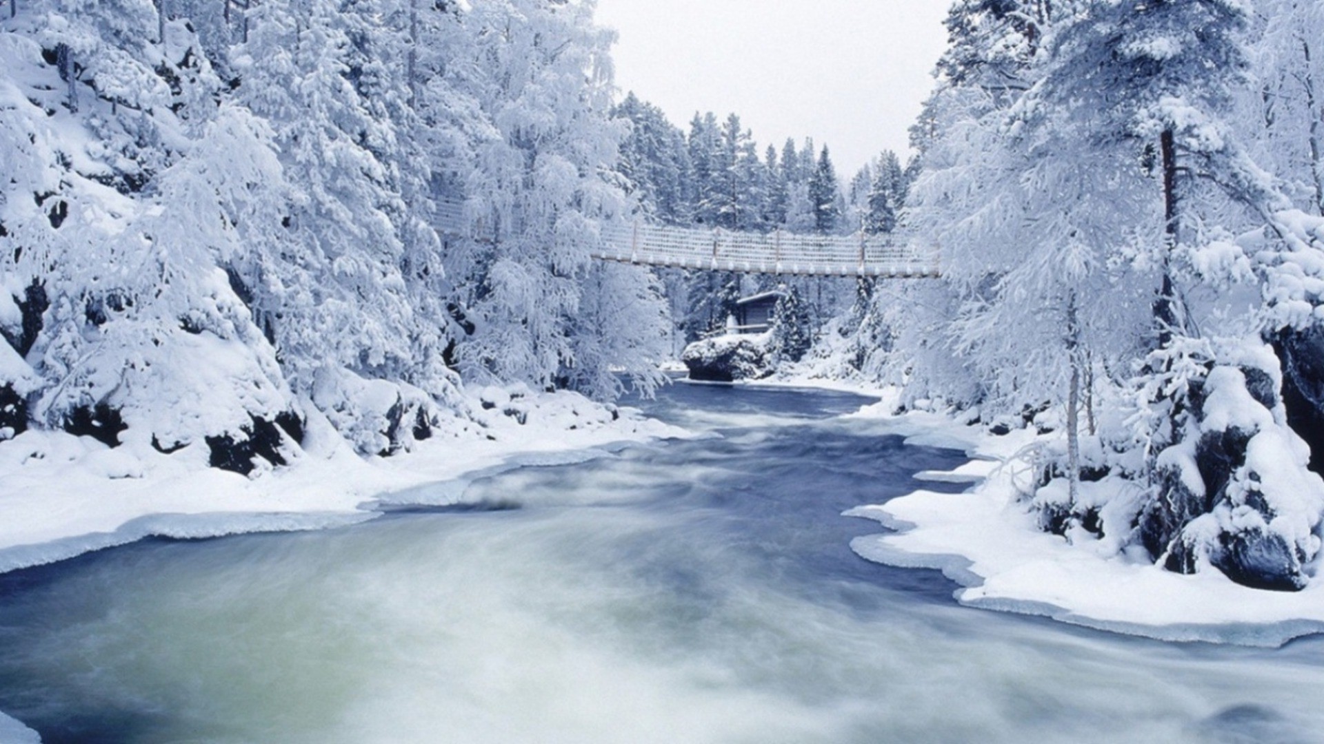 hiver neige glace froid montagnes paysage congelés scénique gel bois voyage eau nature