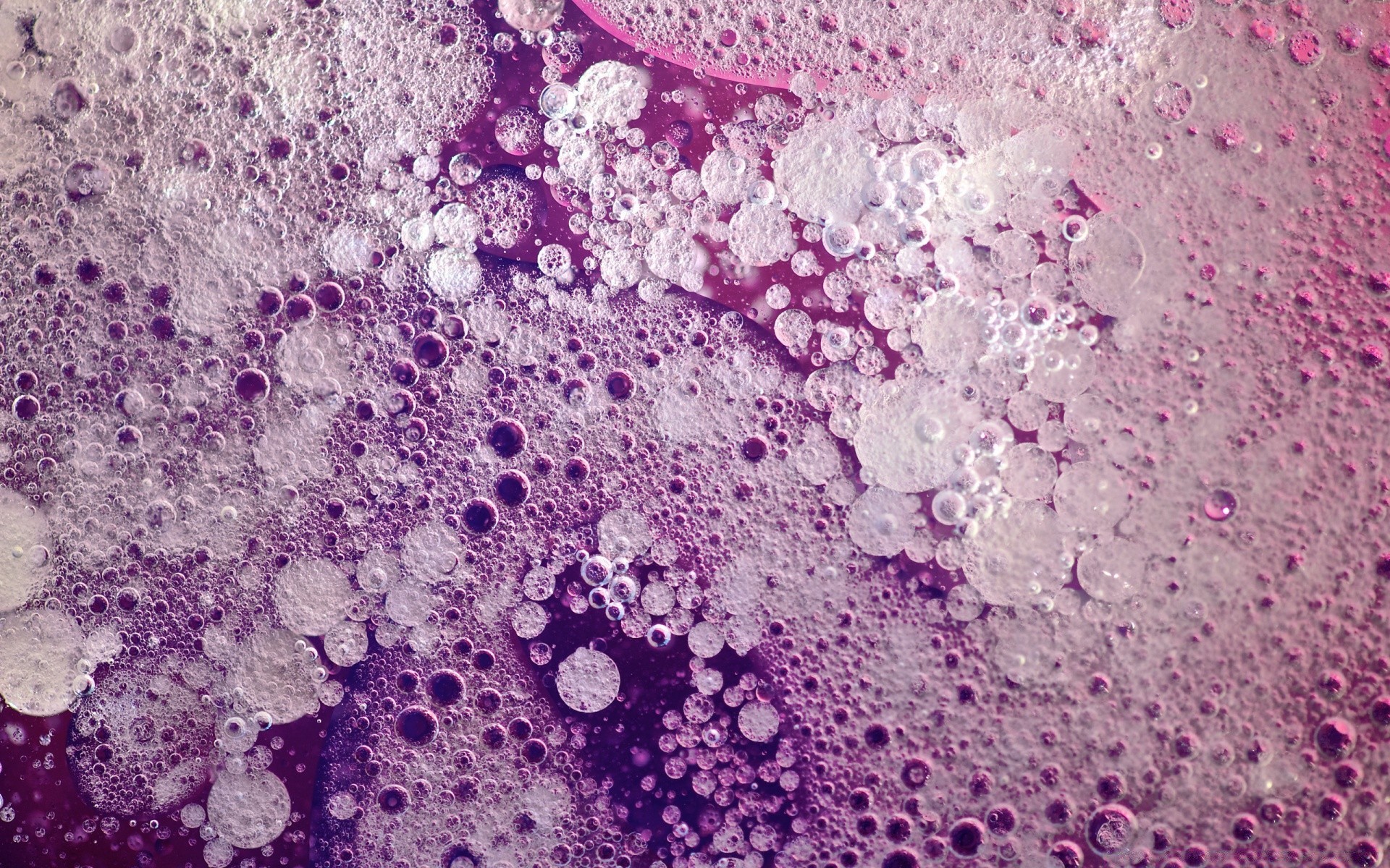 macro bureau grossissement microscope texture microbiologie résumé téléphone cellulaire modèle bactéries surface papier peint violet couleur design