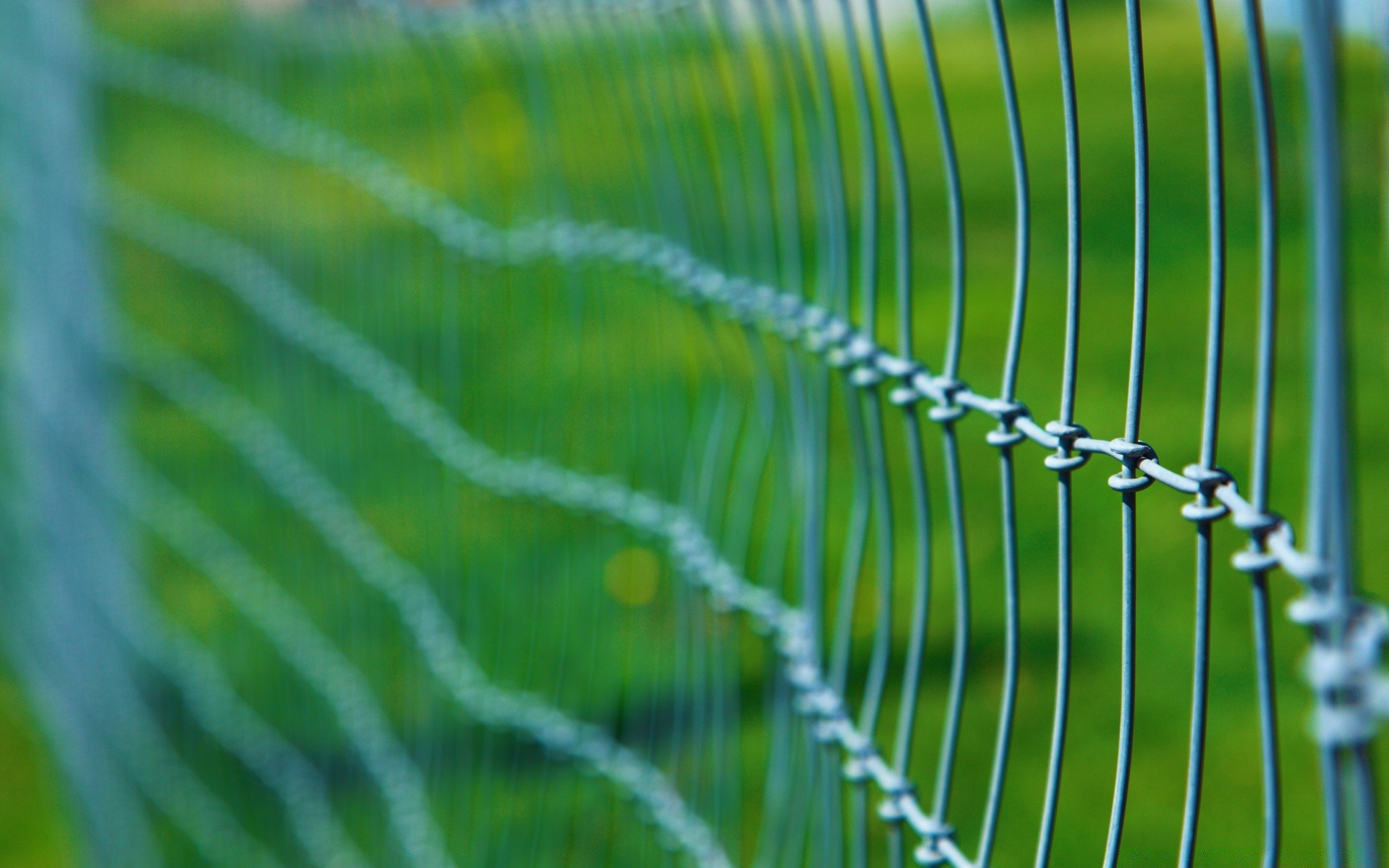 makro flora tau fallen steigen blatt regen natur desktop abstrakt garten gras sommer textur