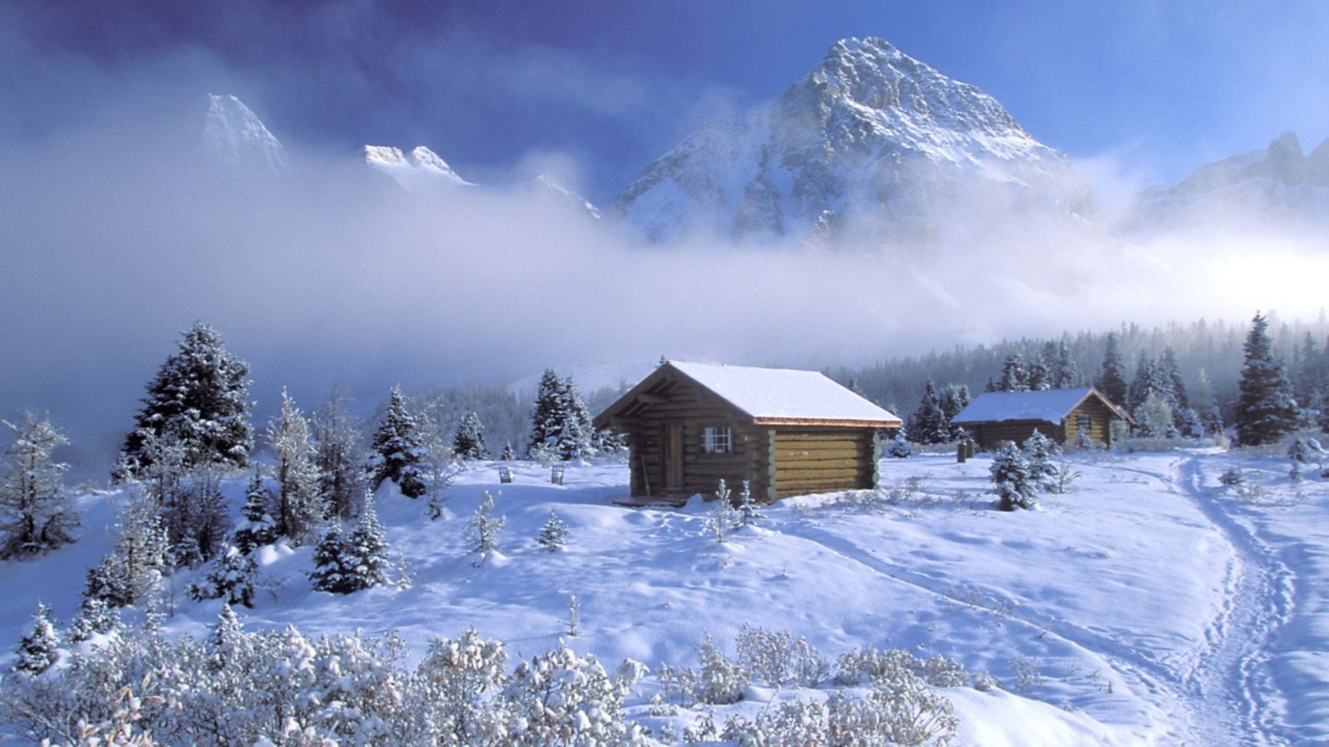 winter snow cold hut chalet frozen wood frost ice mountain snowy scenic resort landscape season weather evergreen snowdrift tree frosty