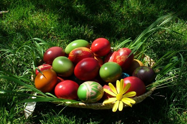 Easter eggs on the green grass