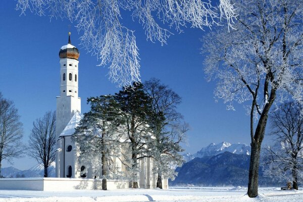 Snowy winter. The beauty of a frosty morning