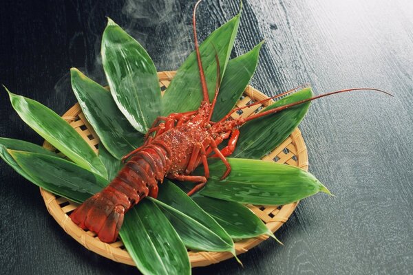 Red crayfish on green leaves