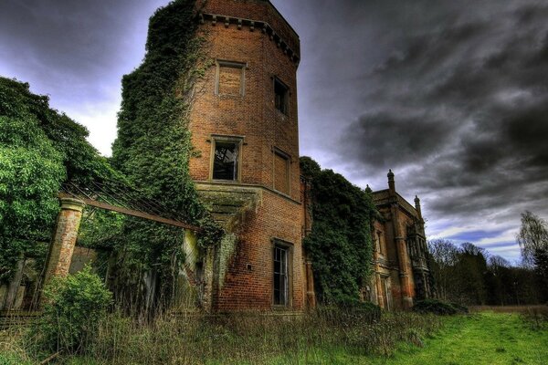 A castle overgrown with moss and wild grapes