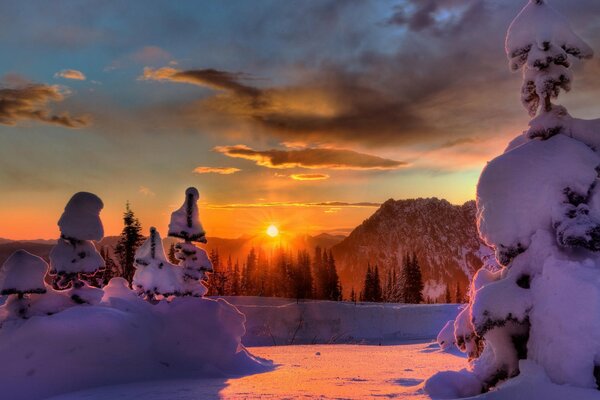 सर्दियों के जंगल में सुनहरी किरणों में सूर्यास्त