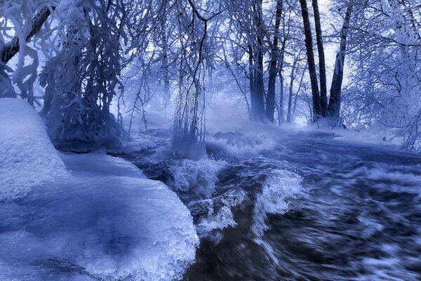 Río de invierno en el bosque. Nieve y agua