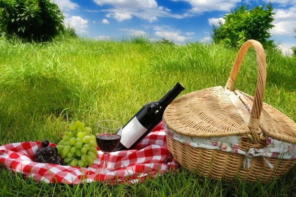 Picnic Lunch Basket