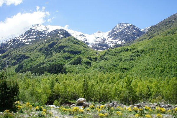 Paisaje pintoresco de montañas y prados