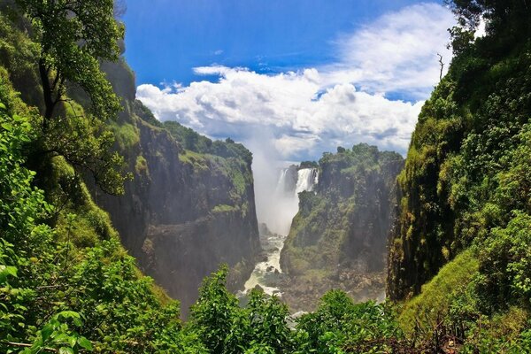 Ein schöner Wasserfall inmitten eines üppigen Holzes, der seine Blätter jagt