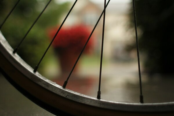 Macro photography of bicycle spokes and tires