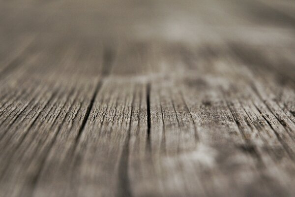 Aesthetics of wood close-up