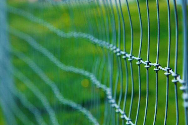 And behind this fence is another life