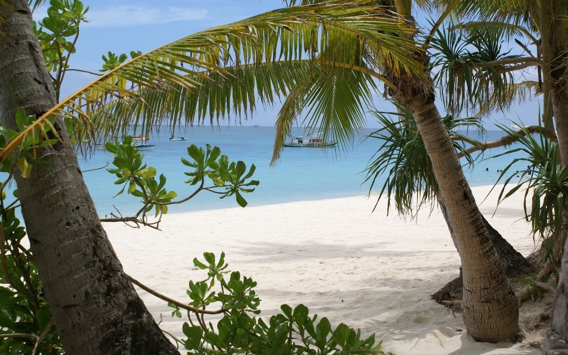 mer et océan tropical plage palm mer océan sable vacances eau été voyage nature mer île paradis arbre côte exotique station balnéaire noix de coco ciel